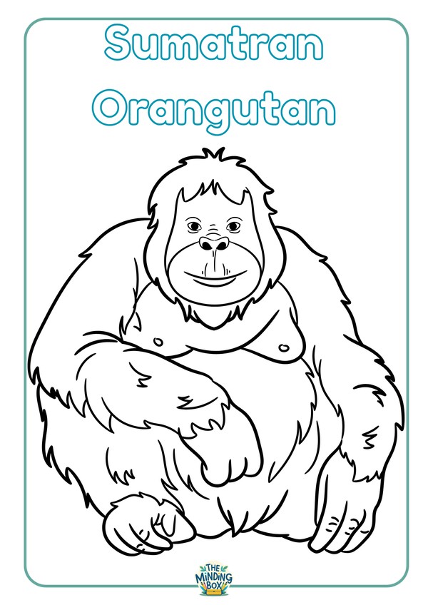 Endangered Animal Colouring In