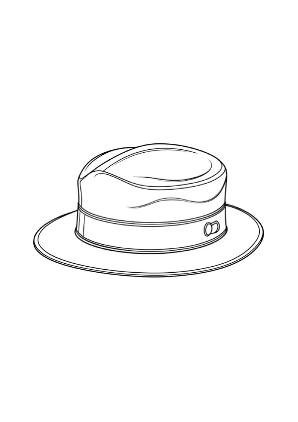 Mans Hat