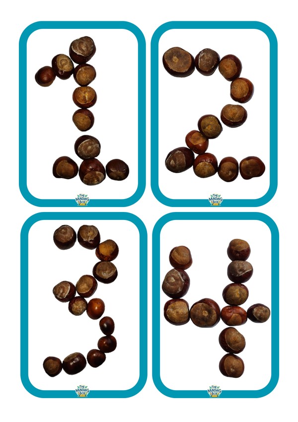 Conker Numbers