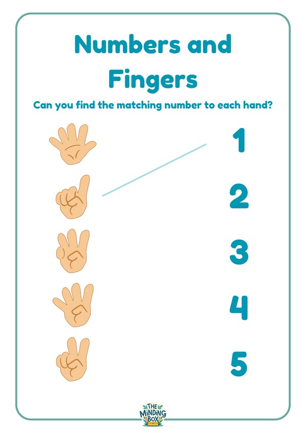 Numbers And Fingers
