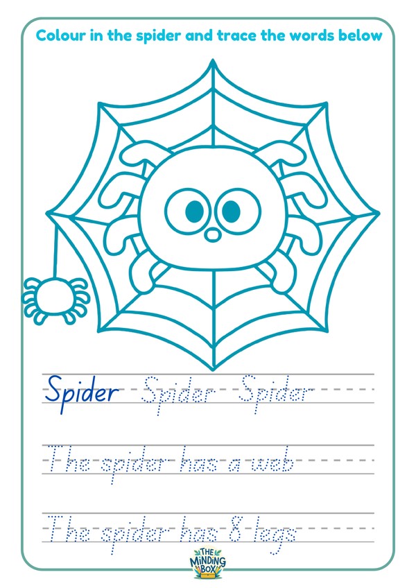 The Spider Has 8 Legs