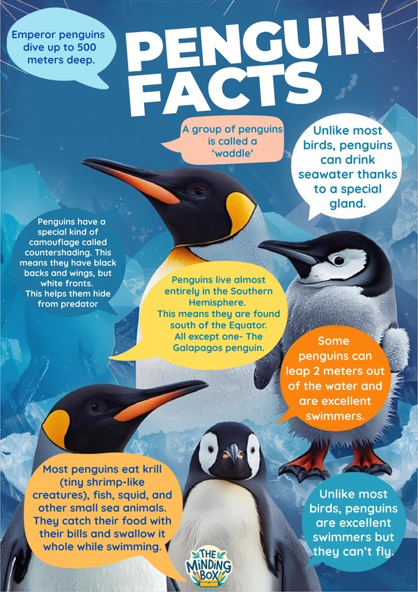 Penguin Facts