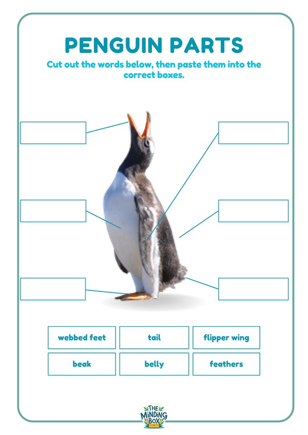 Penguin Parts