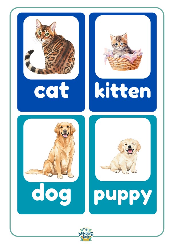 Animals And Their Babies