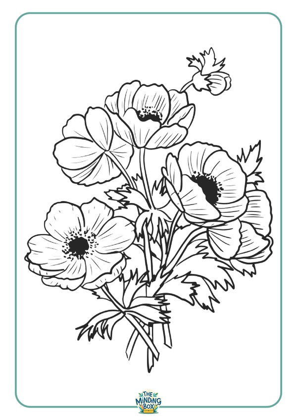 Poppy Colouring In