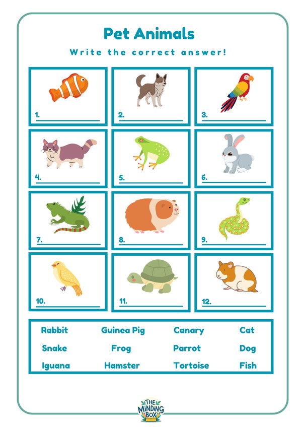 Name The Pet