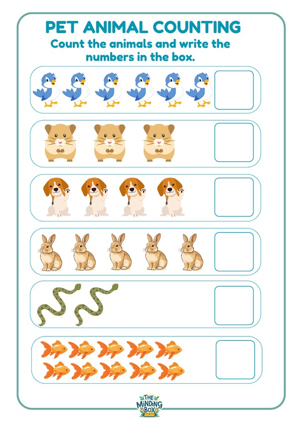Pet Animal Counting