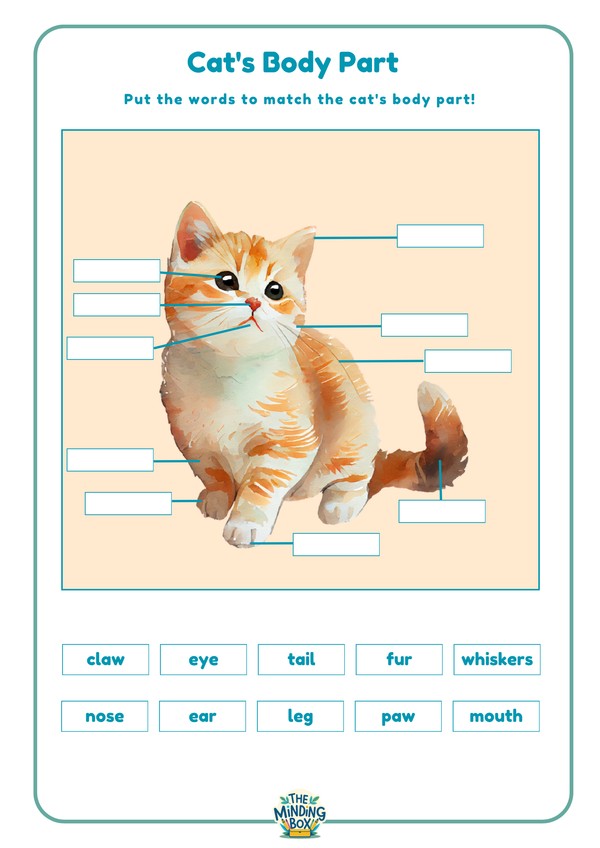 Pet Body Parts