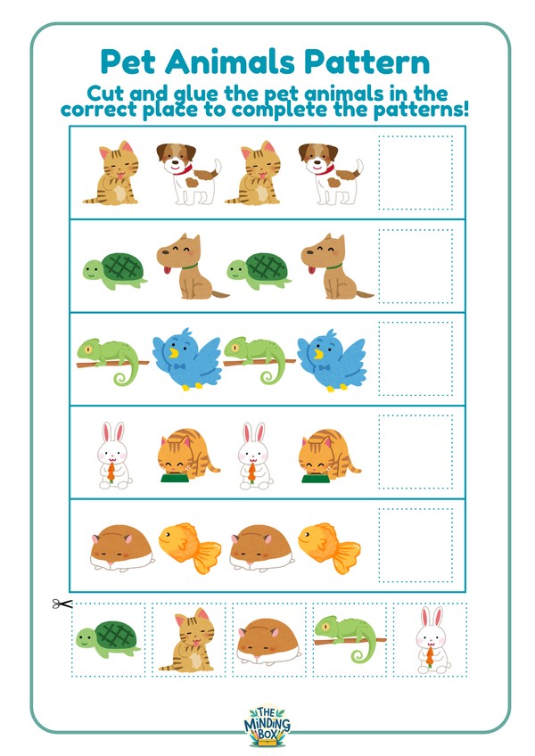 Pet Pattern