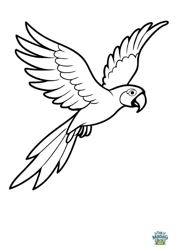 Parrot