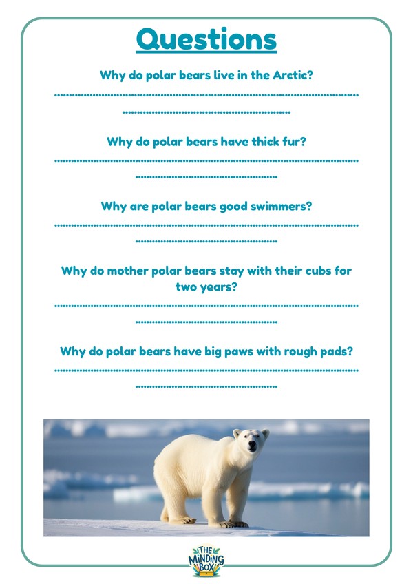 Polar Bear Question And Answers