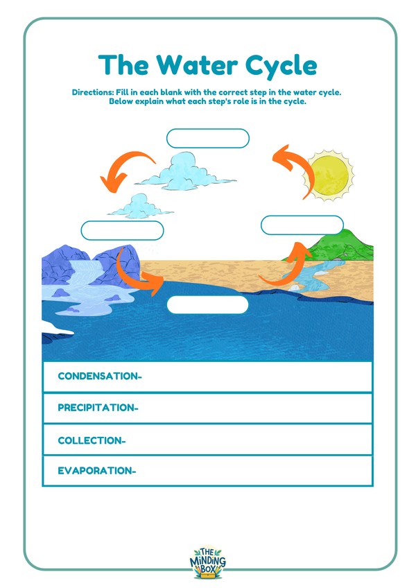 The Water Cycle