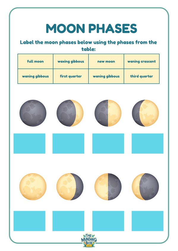 Label The Moon Phases