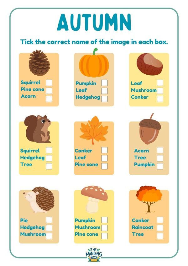 Autumn What Am I