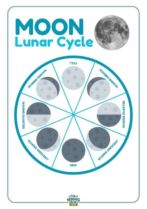 Moon Lunar Cycle