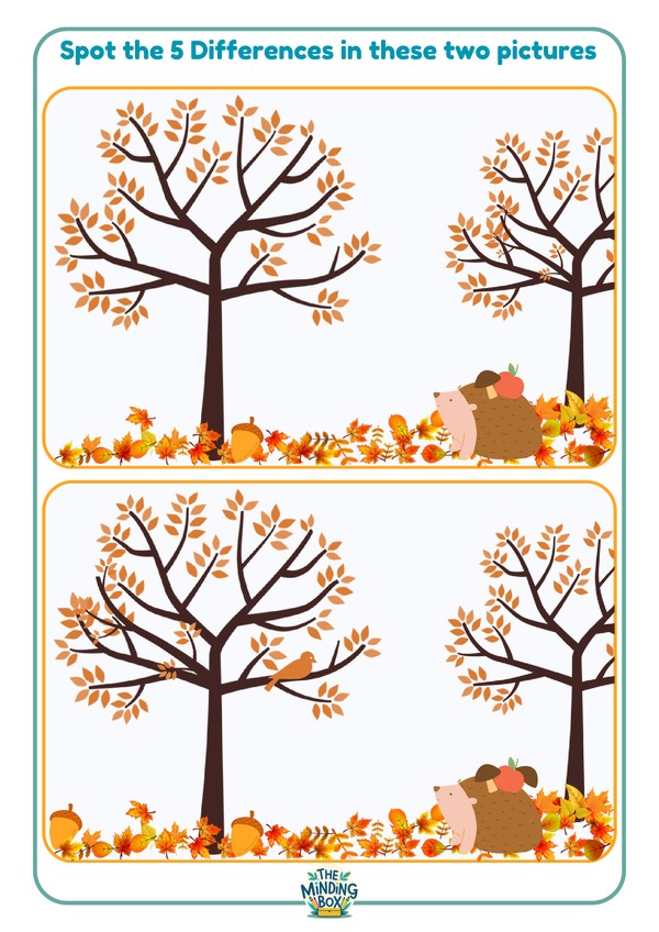 Find The Differences Fall