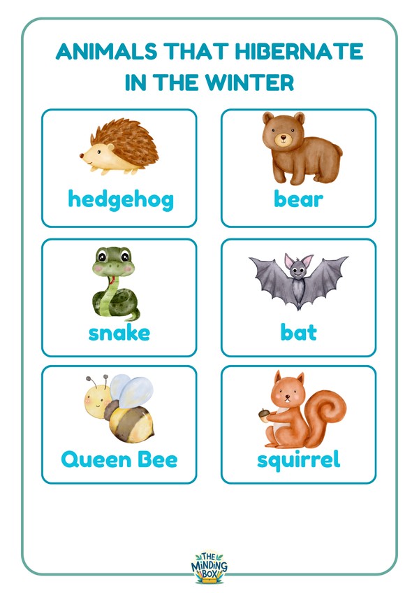 Animals That Hibernate