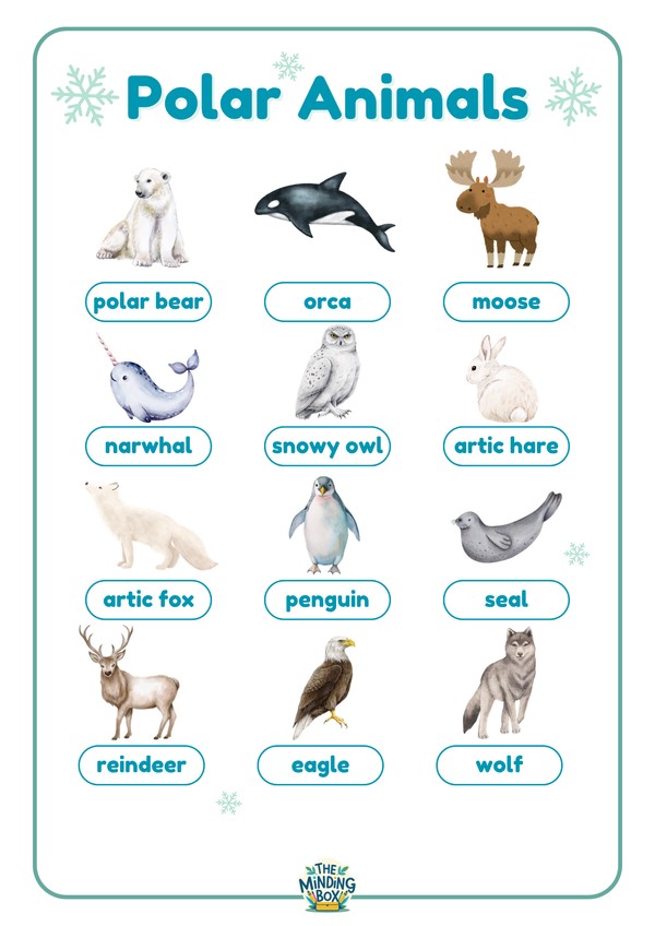 Polar Animals