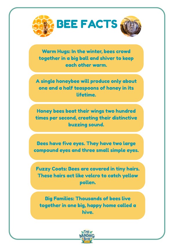 Bee Facts