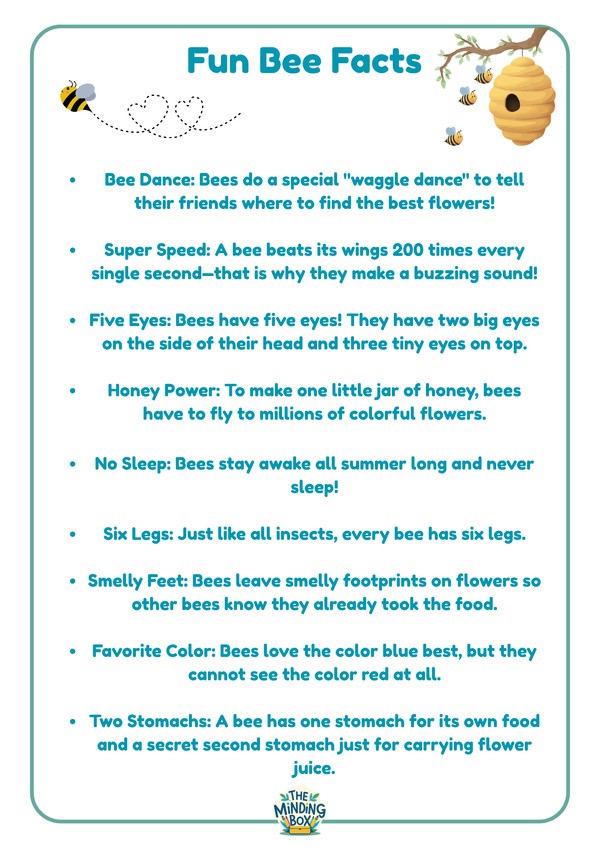 Fun Bee Facts