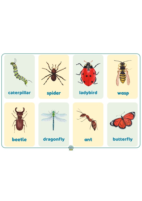 Minibeasts Flashcard