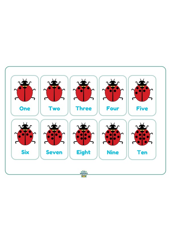 Ladybug Numbers Flashcards