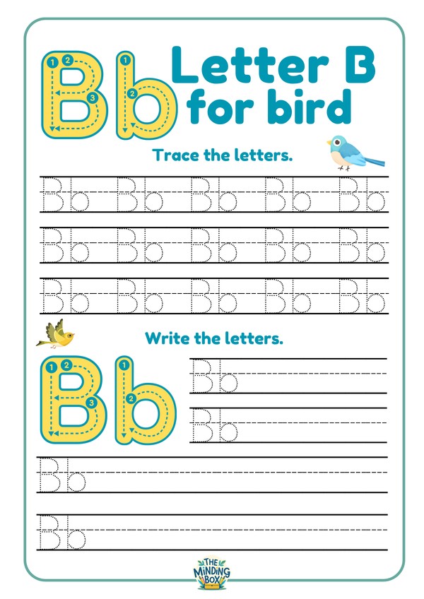 B For Bird