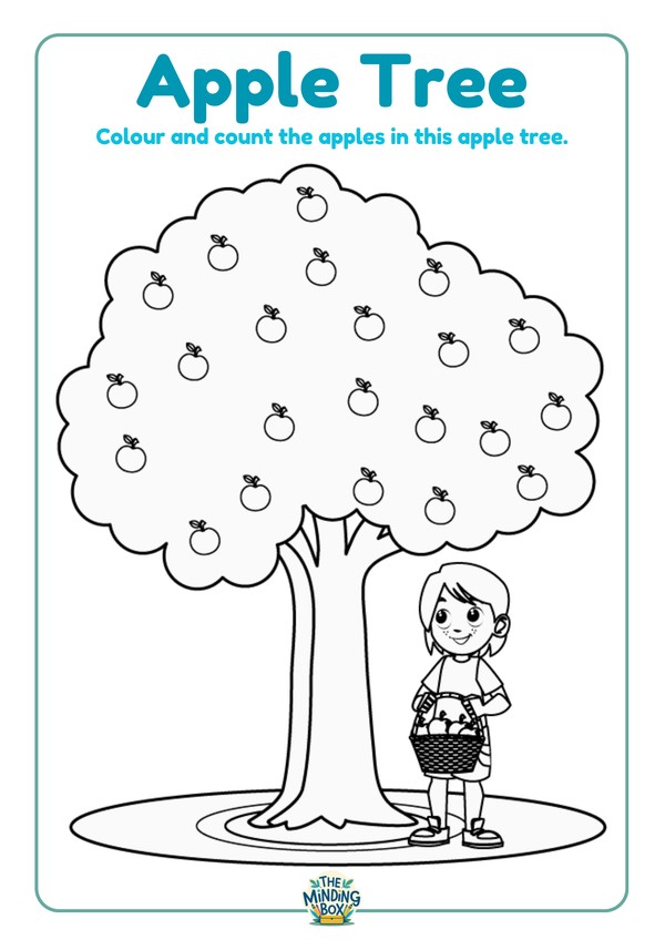Apple Tree Colour And Count