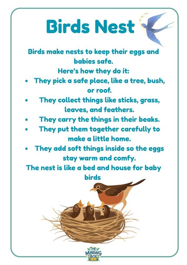 Birds Nest 1