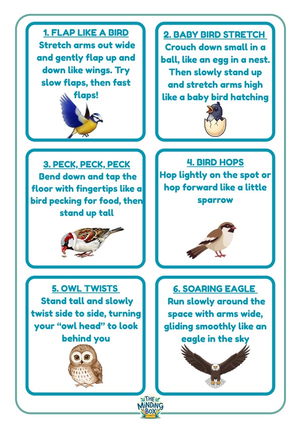 Exercise Birds