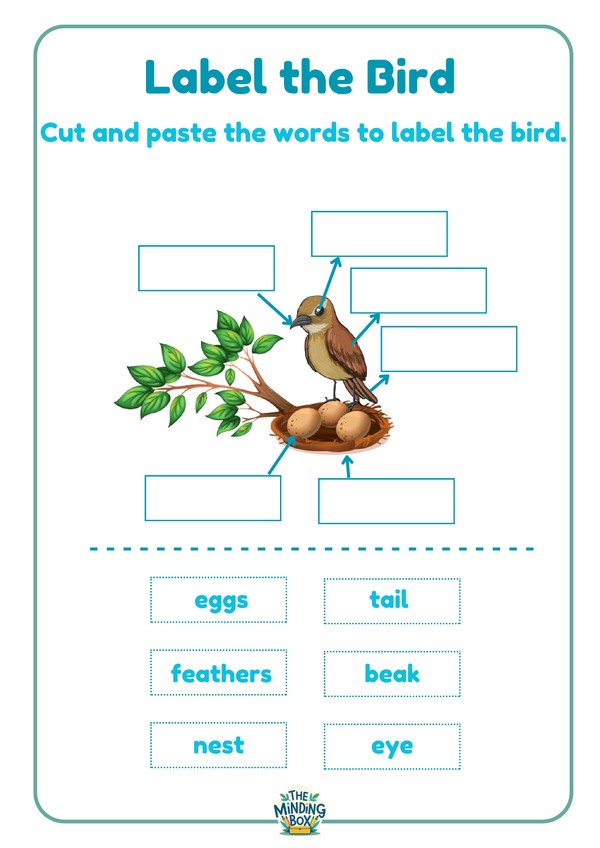 Label The Bird