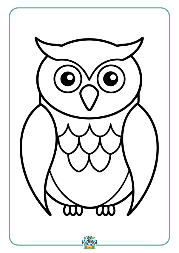 Owl